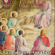 Revista Salvadme Reina - Heraldos del Evangelio