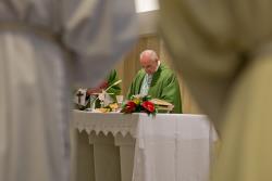 La vida cristiana es alegre, afirma el Papa