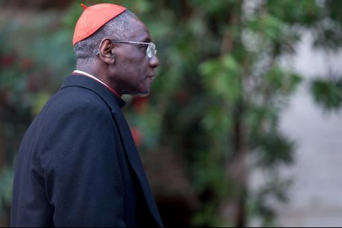 Cardenal Robert.jpg