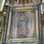 GUADALUPE-6