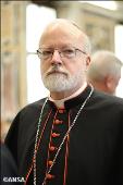 “Nuestro trabajo acaba de comenzar”, Cardenal O'Malley